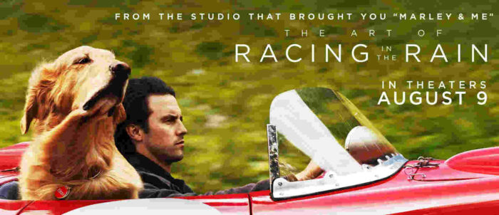 The Art of Racing in the Rain Full Movie Download